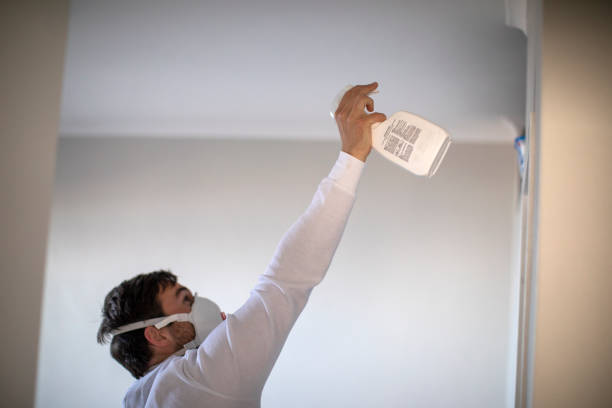 Best White Mold Remediation in Longtown, OK