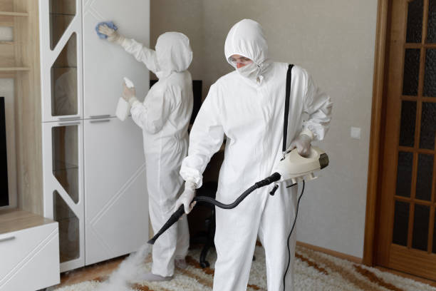 Best Post-Flood Mold Remediation in Longtown, OK