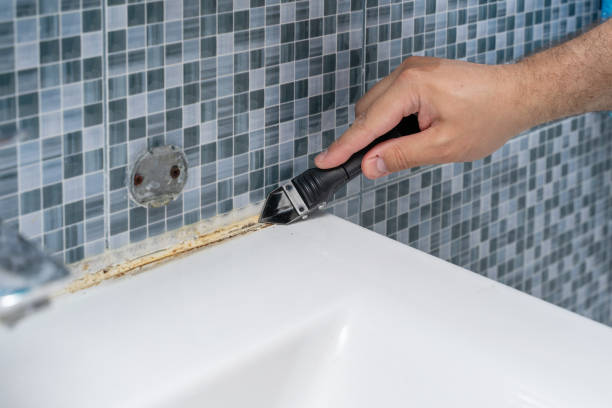 Best Basement Mold Remediation in Longtown, OK