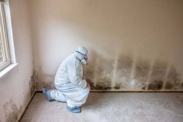 Best Kitchen Mold Remediation in Longtown, OK