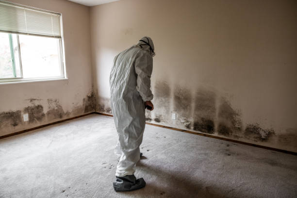Longtown, OK Mold Remediation Company