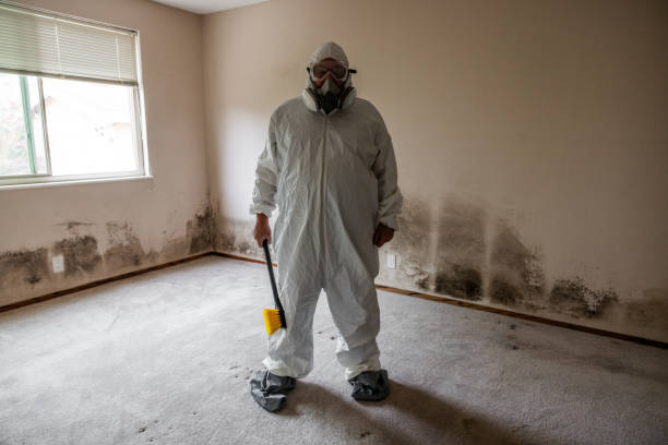 Best Insurance-Related Mold Remediation in Longtown, OK